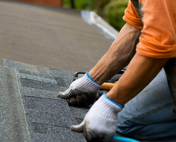 Best Storm Damage Roof Repair  in Beaver Dam, WI